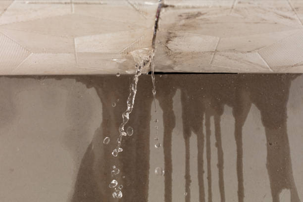Professional Water Damage Inspection technician working in Wilson, OK